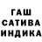 ГАШ гарик vetka forest
