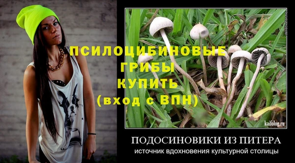 бошки Абаза