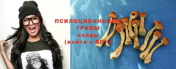 МДПВ Абдулино