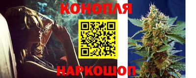 гашик Пыть-Ях