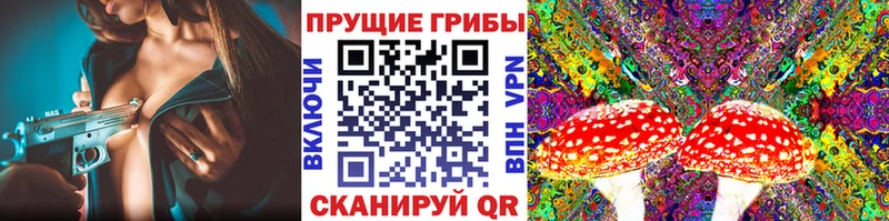 наркотики  Ханты-Мансийск  omg ССЫЛКА  Галлюциногенные грибы Psilocybine cubensis 