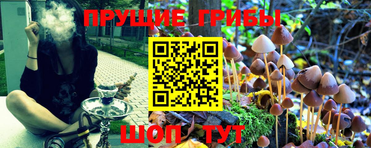 купить наркотик  Вход с VPN  Псилоцибиновые грибы мухоморы  Ханты-Мансийск  Галлюциногенные грибы Psilocybine cubensis 