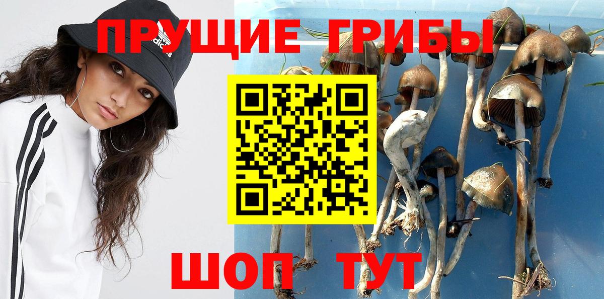 Галлюциногенные грибы MAGIC MUSHROOMS Ханты-Мансийск